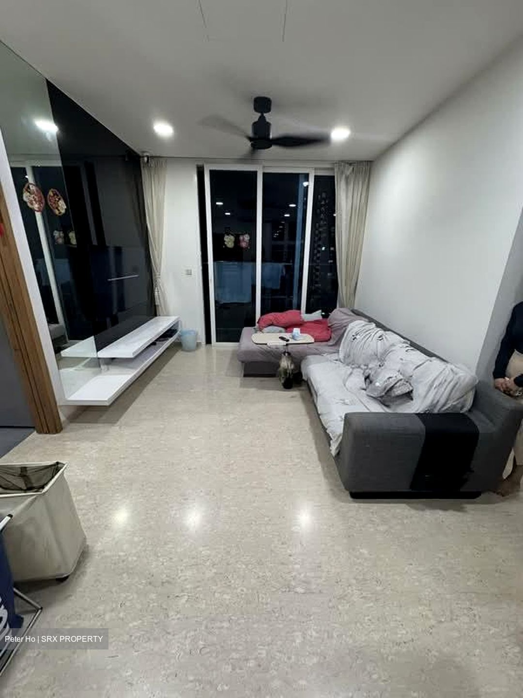 Ritz Regency (D15), Apartment #534935081